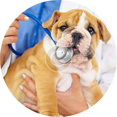 about-clinic about-clinic