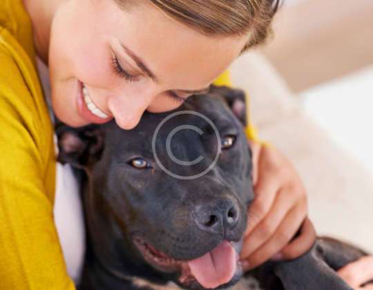 Heartworm: One Bite, One  Infection, That’s Enough