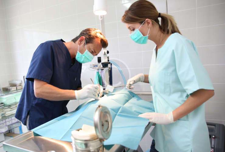 Support for Single Mothers