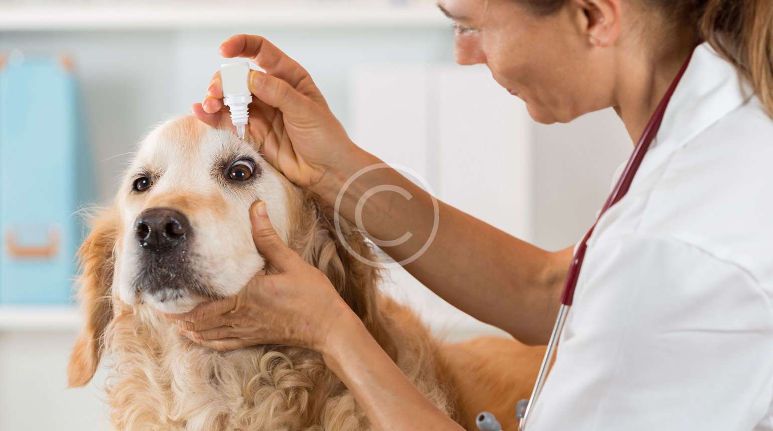 Food & Nutrition Support