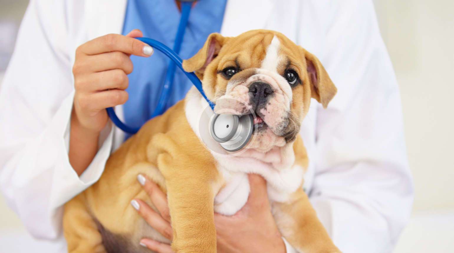 Shelter & Safe Living