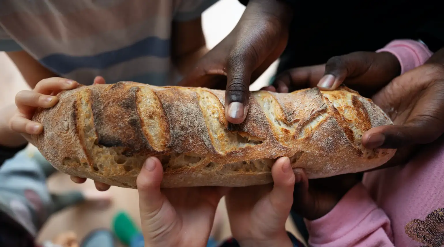 Food & Nutrition Program