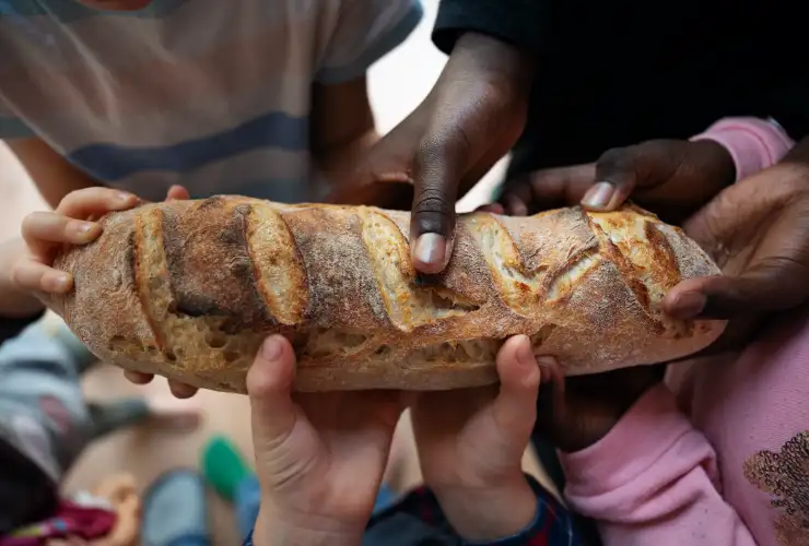 Food & Nutrition Program